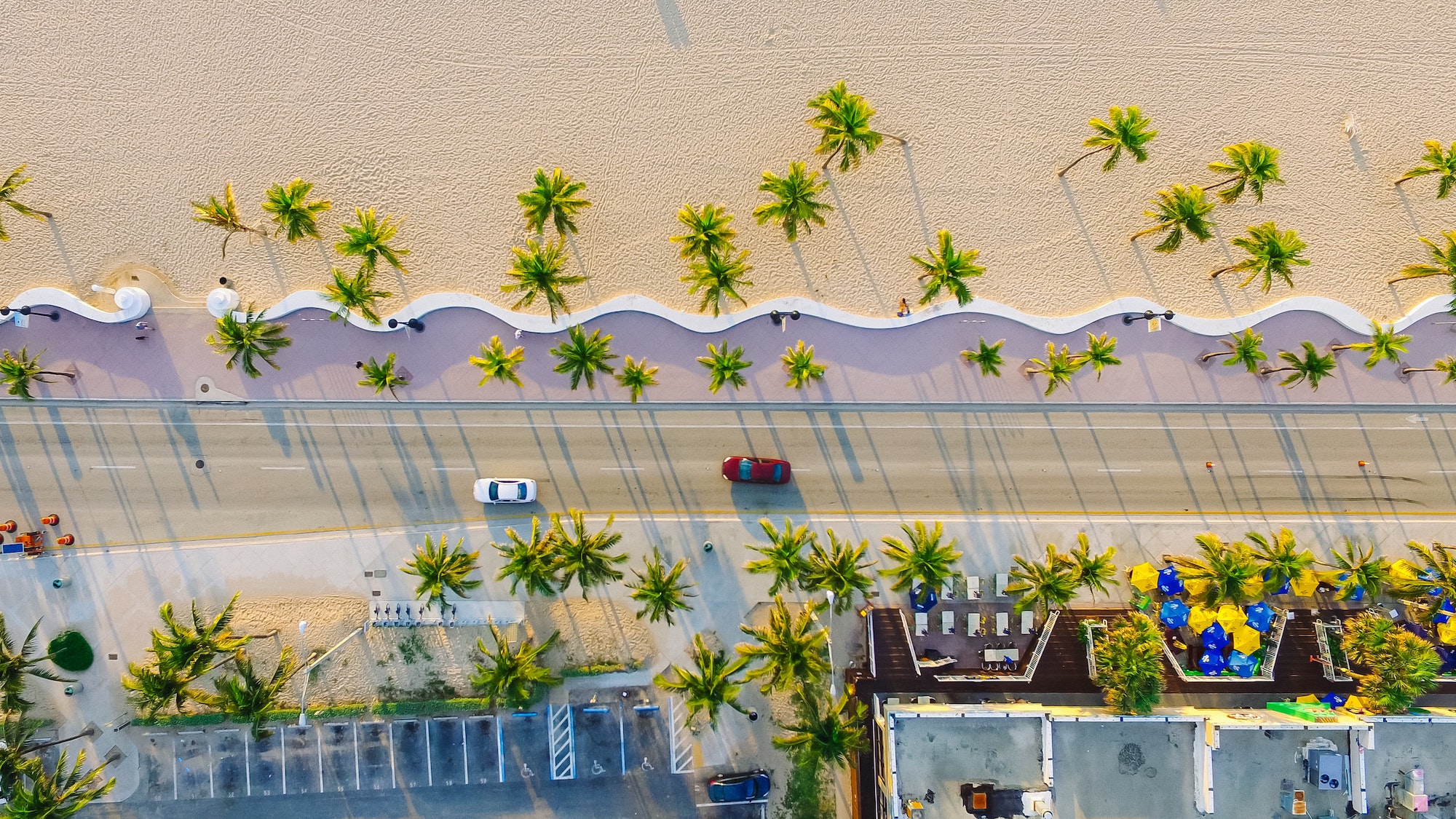 Overhead Beach And Palm Trees