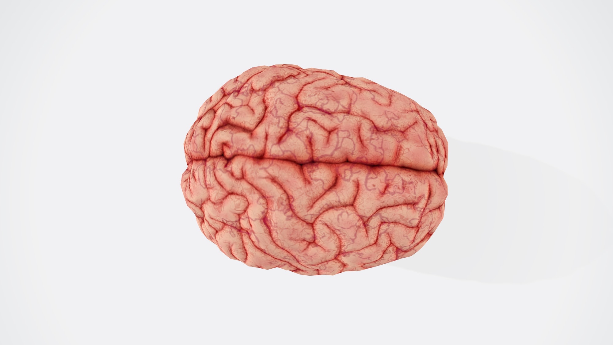Pink Brain