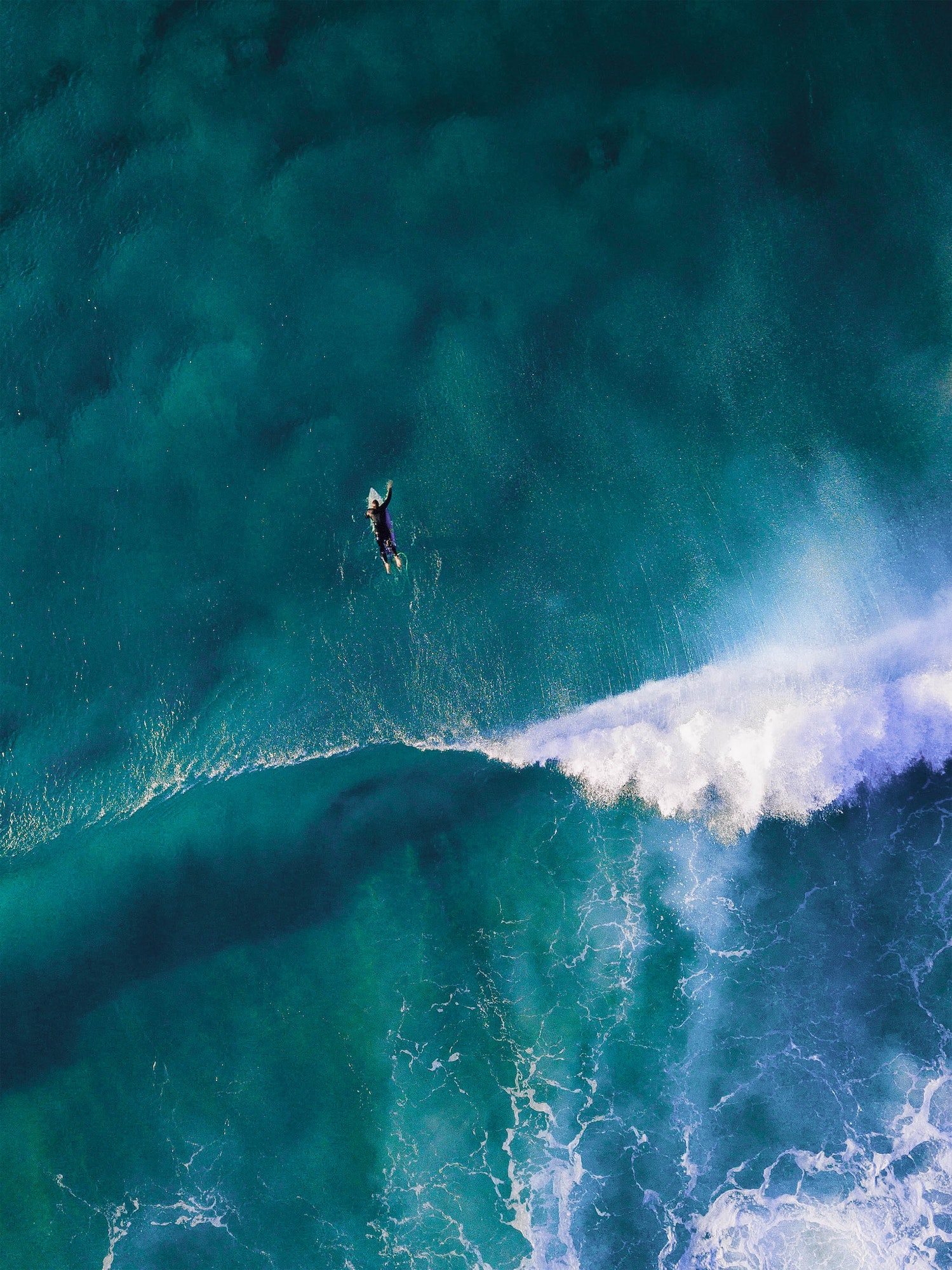 Surfing In Ocean